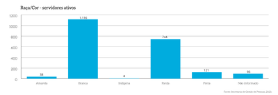 MPDFT_p45b_Raca-Cor-Servidores.png