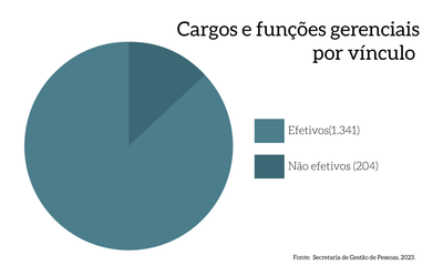 MPDFT_p48c_Cargos-e-Funcoes-por-vinculo.png